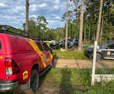 PCPR, PMPR, CBMPR deflagram operação contra organização criminosa em Curitiba e RMC