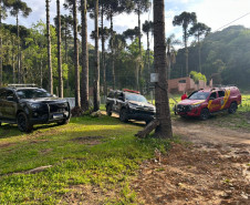 PCPR, PMPR, CBMPR deflagram operação contra organização criminosa em Curitiba e RMC