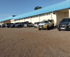 PCPR e PMPR prendem duas pessoas em operação deflagrada contra o tráfico de drogas em Palotina