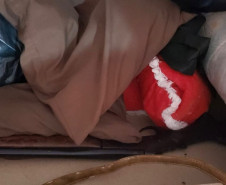 PCPR prende oito pessoas em operação contra o tráfico de drogas no Sudoeste e Centro-Oeste do Estado 