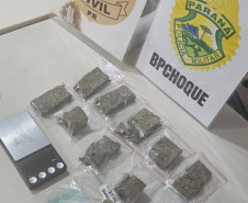 PCPR e PMPR prendem nove pessoas durante operação no Litoral do Paraná 