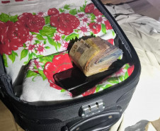 PCPR prende oito pessoas em operação contra o tráfico de drogas no Sudoeste e Centro-Oeste do Estado 