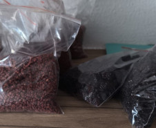 PCPR prende dois homens por crimes contra a saúde pública e a ordem tributária em Curitiba 