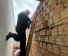 PCPR, PMPR e GCM prendem seis pessoas durante operação em combate ao tráfico de drogas em Cascavel