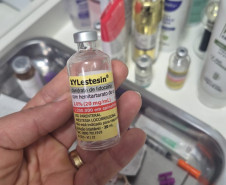 PCPR prende mulher por realizar procedimentos estéticos ilegais e usar medicamentos sem registro em clínica no bairro CIC