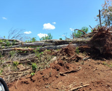 PCPR e PMPR prendem homem em flagrante por crime ambiental em Quedas do Iguaçu