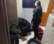 PCPR, PMPR e GCM prendem seis pessoas durante operação em combate ao tráfico de drogas em Cascavel