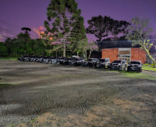 PCPR e PMPR prendem cinco pessoas durante operação contra o tráfico no Sudoeste