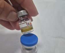 PCPR prende mulher por realizar procedimentos estéticos ilegais e usar medicamentos sem registro em clínica no bairro CIC