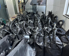 Polícias do Paraná apreendem a segunda maior carga de cocaína do ano: droga seria enviada à Europa