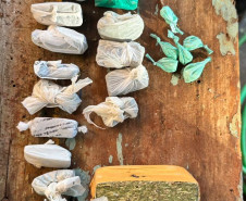 PCPR e PMPR prendem três homens e apreendem armas, munições e drogas em Cascavel