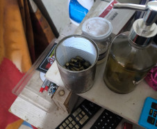 PCPR e PMPR prendem três homens e apreendem armas, munições e drogas em Cascavel