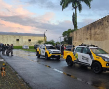 PCPR e PMPR prendem nove pessoas durante operação no Litoral do Paraná 