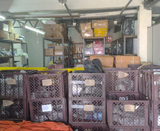 PCPR apreende materiais que seriam utilizados na falsificação de bonés em Apucarana