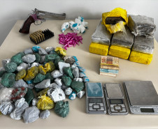 PCPR e PMPR prendem sete pessoas em operação contra o tráfico de drogas em Palmeira