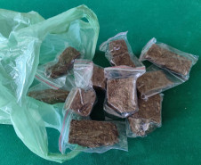 PCPR e PMPR prendem nove pessoas durante operação no Litoral do Paraná 