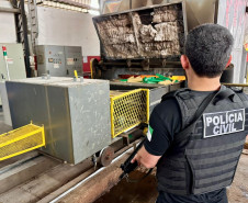 PCPR incinera mais de uma tonelada de entorpecente em Cruzeiro do Oeste