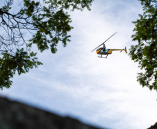 Polícias do Paraná prendem 25 integrantes de organização que movimentava 1,5 tonelada de drogas por mês