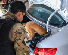 Polícias do Paraná prendem 25 integrantes de organização que movimentava 1,5 tonelada de drogas por mês