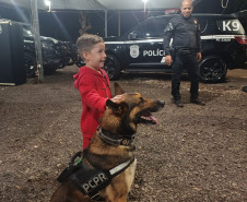 PCPR na Comunidade realiza mais de 3,2 mil atendimentos em Rolândia e Londrina