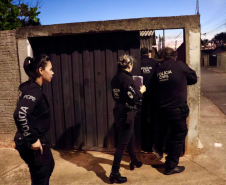 Missão Paraná III: forças de segurança lançam nova edição da Operação Sinergia na região dos Campos Gerais e Centro do Estado