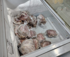 PCPR e fiscalização fecham o cerco contra o comércio ilegal e realizam prisão em flagrante em Curitiba