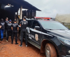 PCPR incinera mais de 1 tonelada de drogas em São José dos Pinhais