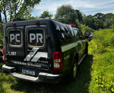 PCPR, PMPR e CBMPR encontra corpo de homem que estava desaparecido em Palmeira