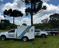 PCPR, PMPR e CBMPR encontra corpo de homem que estava desaparecido em Palmeira
