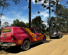 PCPR, PMPR e CBMPR encontra corpo de homem que estava desaparecido em Palmeira