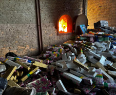 PCPR incinera mais de 3,5 toneladas de drogas em Palmeira 