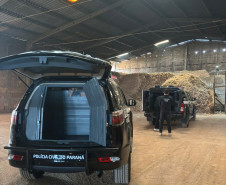 PCPR incinera 114 quilos de drogas apreendidas em Araucária