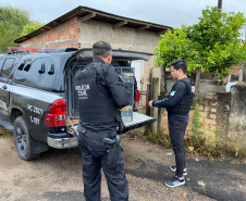 PCPR e PMPR prendem irmão suspeitos de homicídio ocorrido em Castro