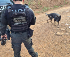 PCPR prende 56 pessoas durante megaoperação contra organização criminosa no Paraná 