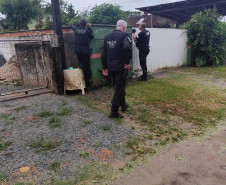 PCPR e PCSC prendem homem por furto mediante arrombamento ocorrido em Cascavel