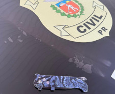 PCPR prende casal por tentativa de latrocínio em Castro