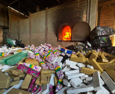 PCPR incinera mais de 3,5 toneladas de drogas em Palmeira 