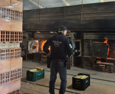 PCPR incinera 114 quilos de drogas apreendidas em Araucária