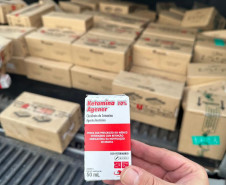 PCPR e PMPR prendem sete suspeitos de movimentar R$ 10 milhões em cetamina em dois meses