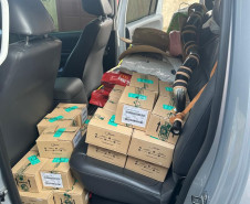 PCPR e PMPR prendem sete suspeitos de movimentar R$ 10 milhões em cetamina em dois meses