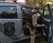 Polícias do Paraná desencadeiam operação no Litoral e prendem 40 pessoas