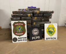 PCPR, PMPR e PF prendem três pessoas e apreendem quase 4 toneladas de maconha em Santa Helena 