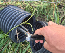 PCPR prende homem em flagrante por tentativa de furto e falsa identidade em Castro