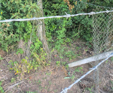 PCPR prende homem em flagrante por tentativa de furto e falsa identidade em Castro