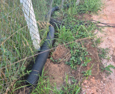 PCPR prende homem em flagrante por tentativa de furto e falsa identidade em Castro