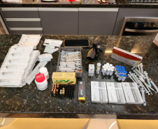 PCPR prende homem por tentativa de feminicídio e outros crimes graves contra a mulher em Pinhais