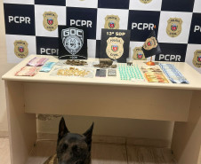 PCPR e GCM prendem em casal em flagrante por tráfico de drogas em Ponta Grossa