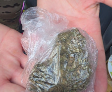 Forças de Segurança deflagram operação e prendem homem por homicídio ocorrido em Guaratuba