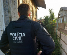 Forças de Segurança deflagram operação e prendem homem por homicídio ocorrido em Guaratuba