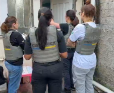 PCPR resgata cães e gatos vítimas de violência em Piraquara